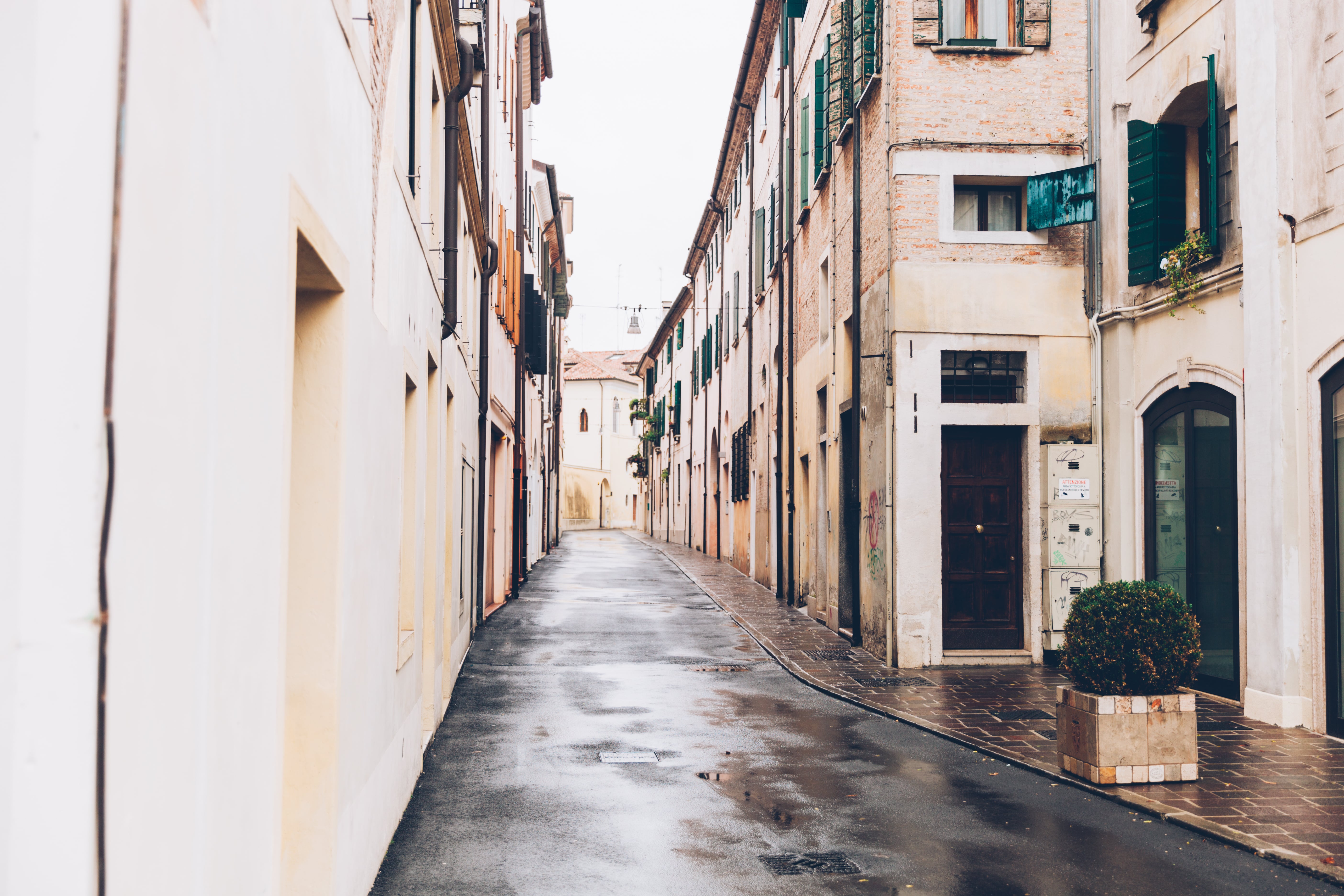 Treviso
