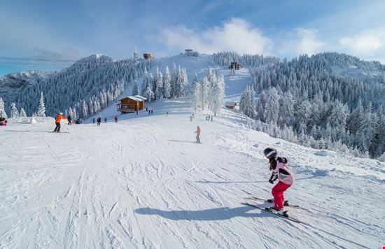 Poiana Poiana Balate Dorin - Shutterstock.com 