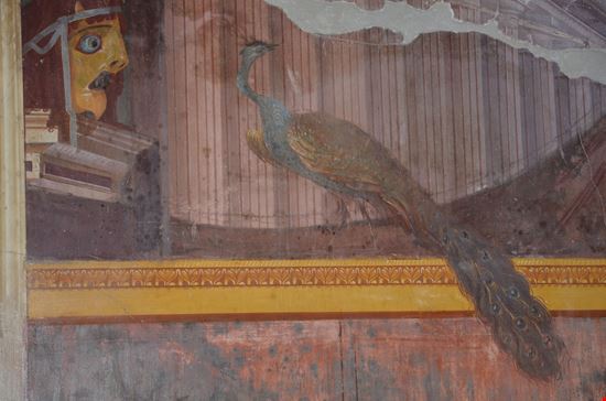 Pompei Villa dei Misteri stock.adobe.com 