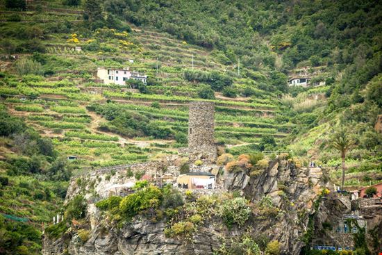 Vernazza Castello Doria stock.adobe.com 
