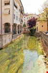 Treviso