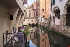 Treviso