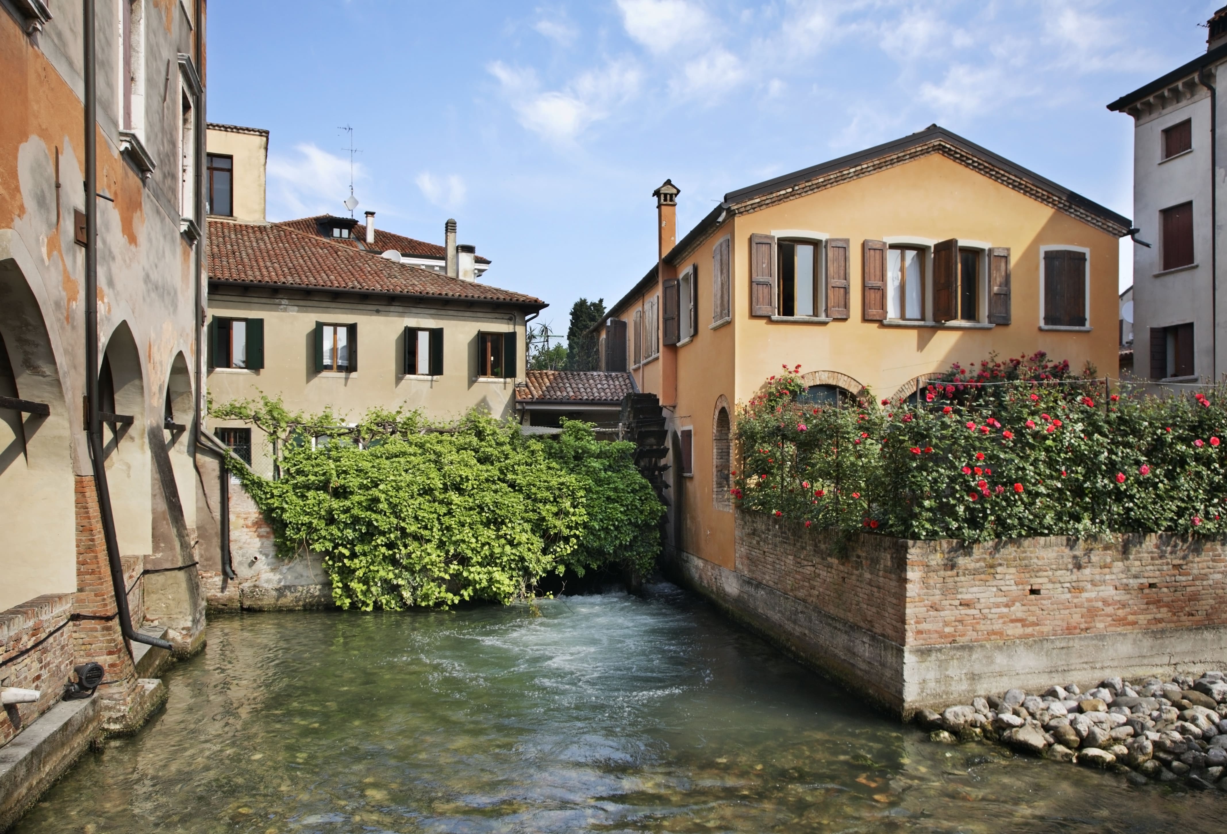 Treviso