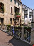 Treviso