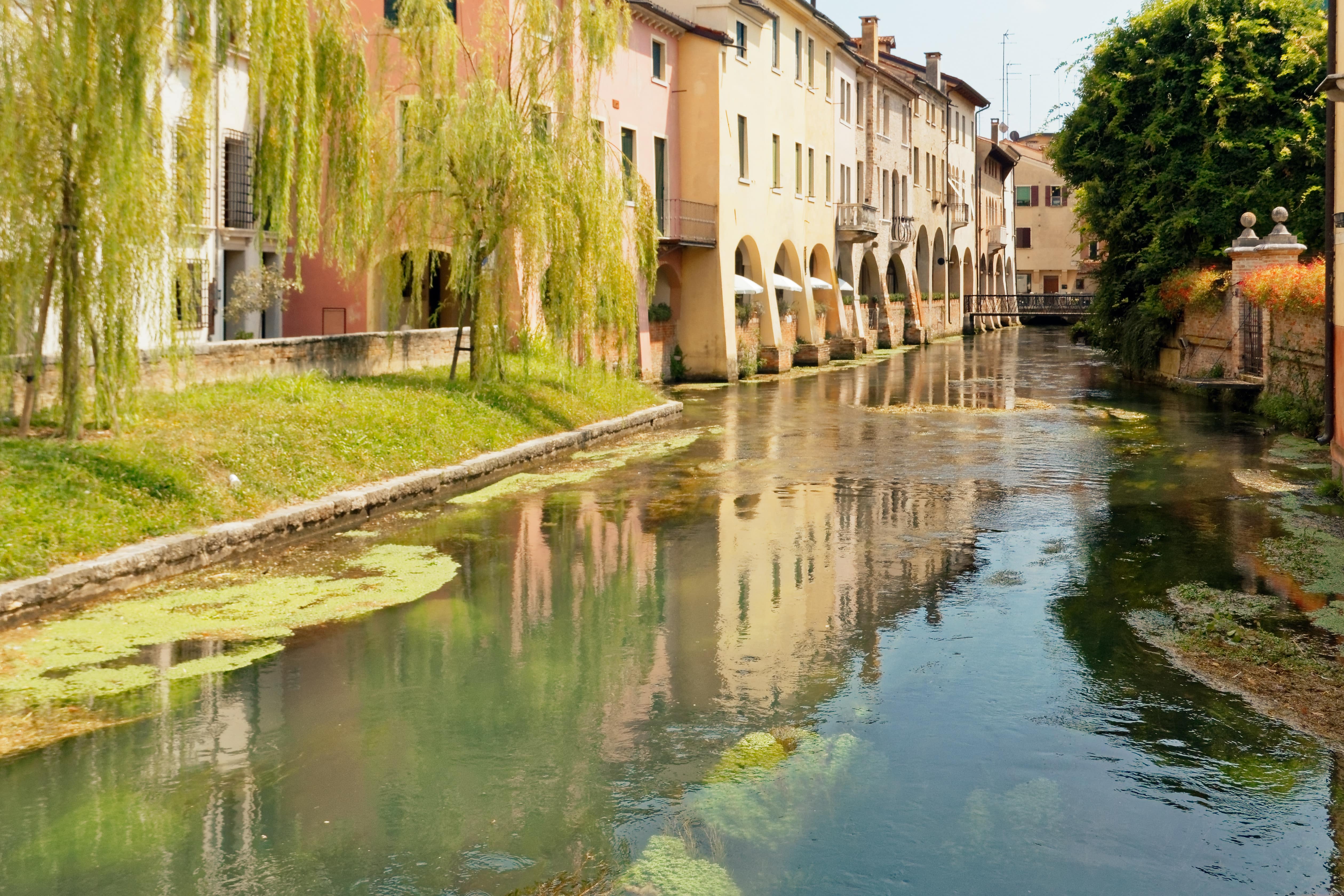 Treviso