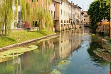 Treviso