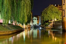 Treviso