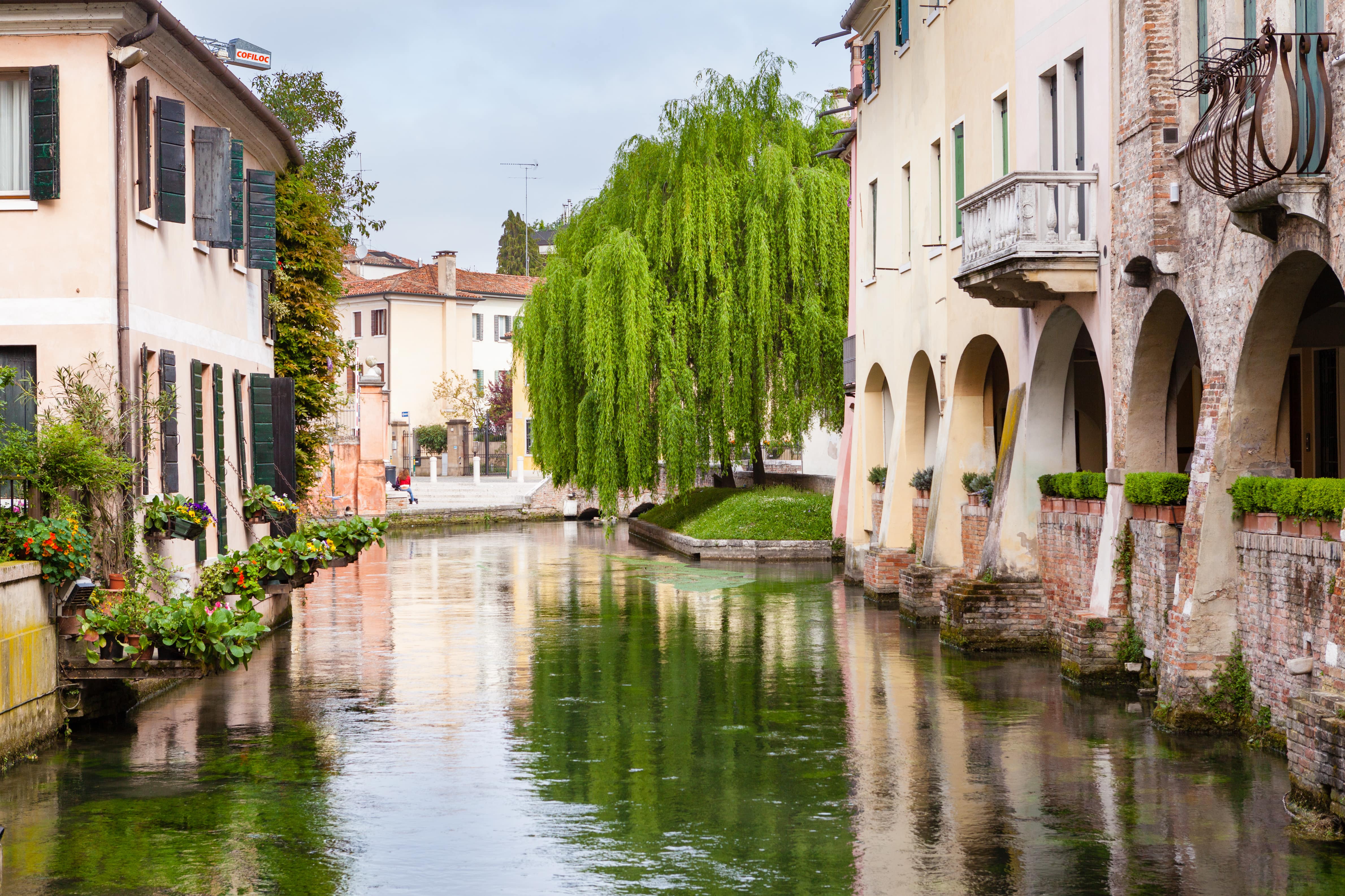 Treviso