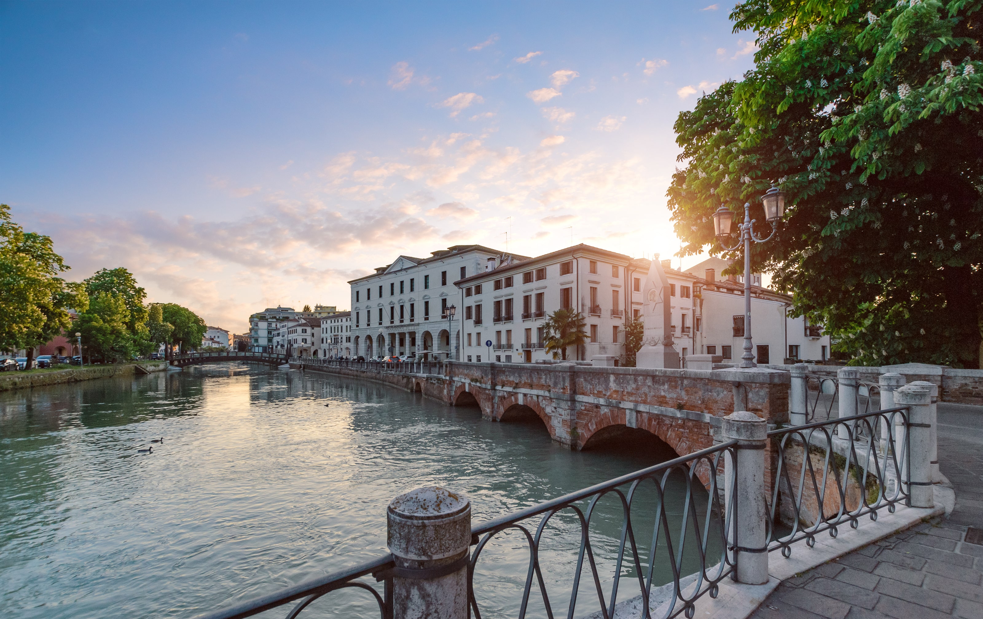 Treviso
