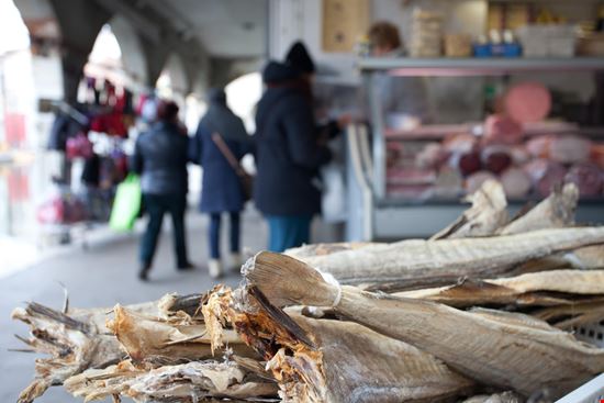 Chioggia Mercato del Pesce stock.adobe.com 