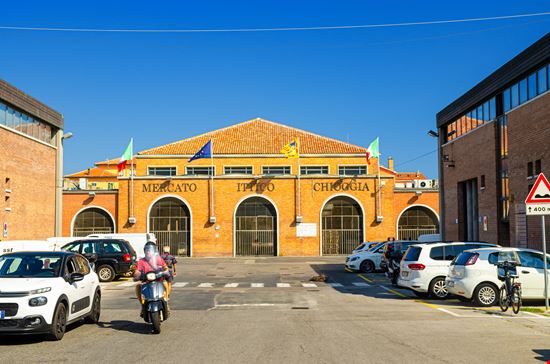 Chioggia Mercato del Pesce stock.adobe.com - solo uso editoriale 