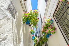 Vicolo dei Fiori