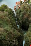 Nesso