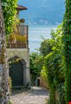 Nesso