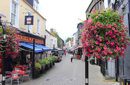 Kilkenny Kilkenny Ana Candida / Shutterstock.com 