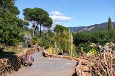 Il giardino botanico La Concepción