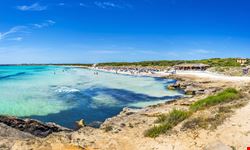 Maiorca