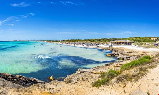Es Trenç Palma de Mallorca stock.adobe.com 
