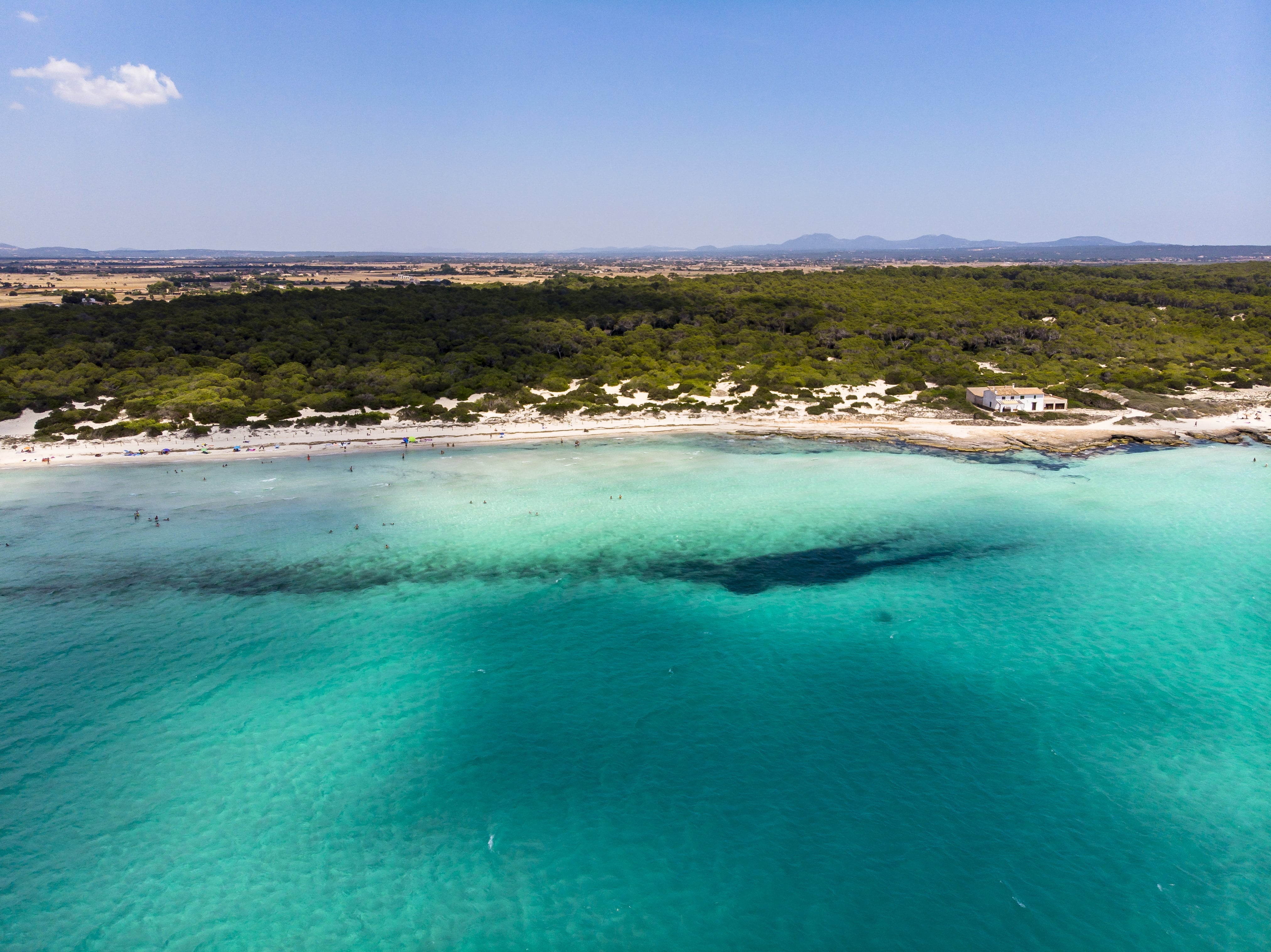 Maiorca