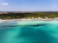 Maiorca