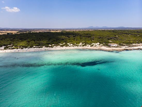 Es Trenç Palma de Mallorca stock.adobe.com 