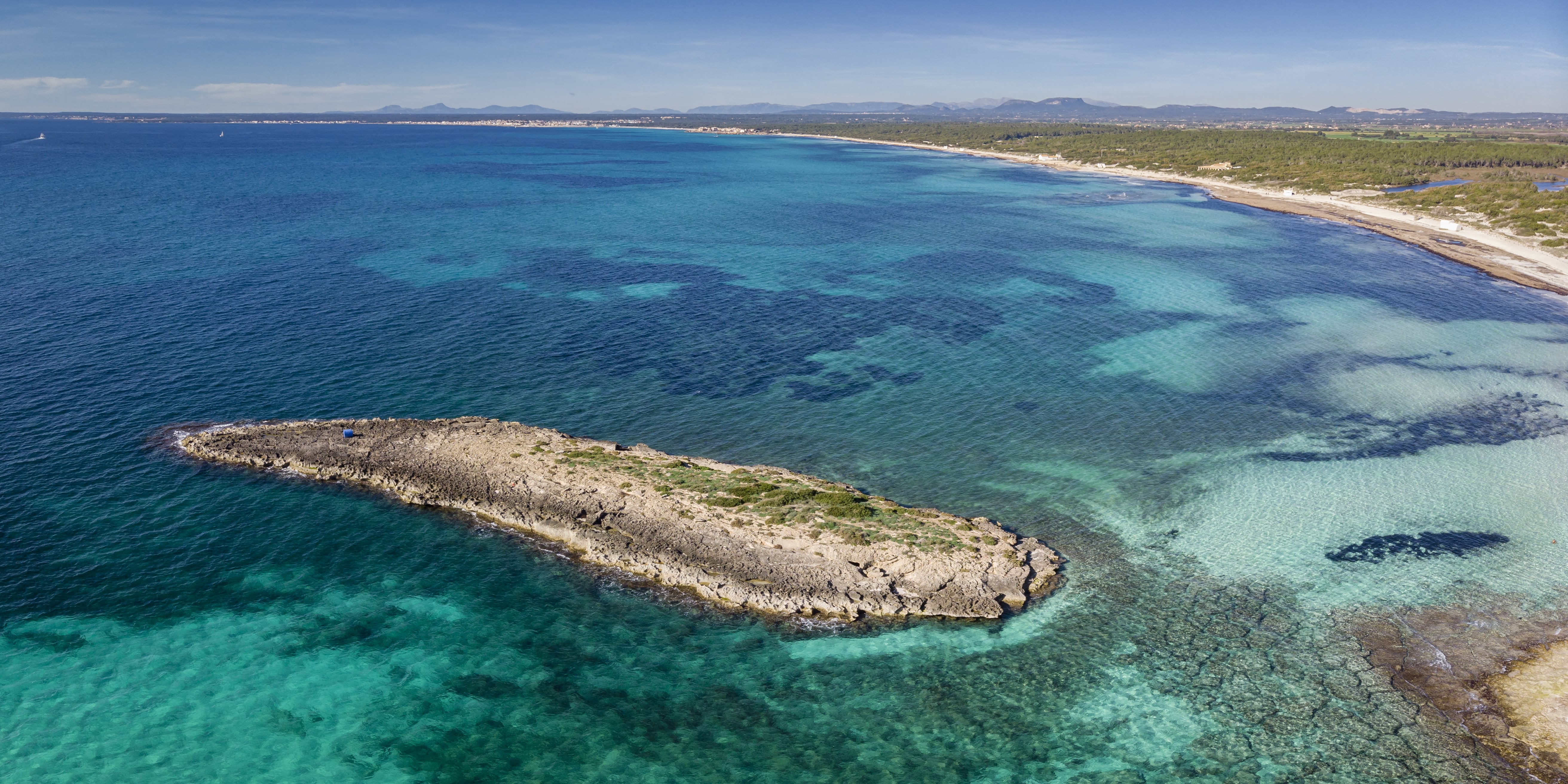 Maiorca