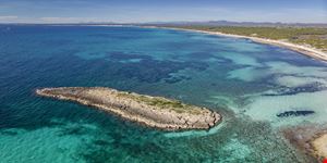 Maiorca