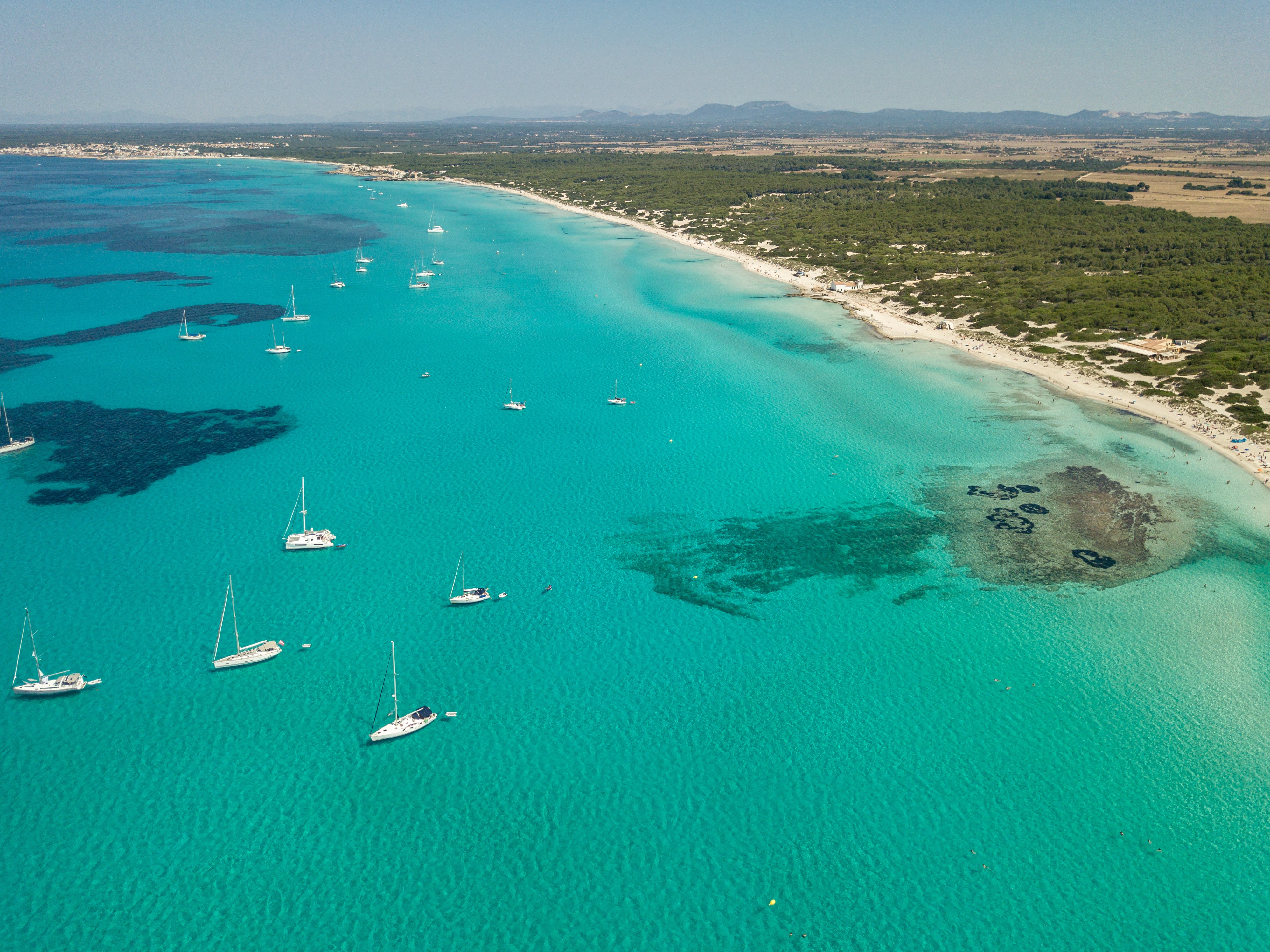 Maiorca