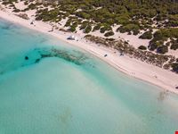 Maiorca
