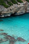 Maiorca