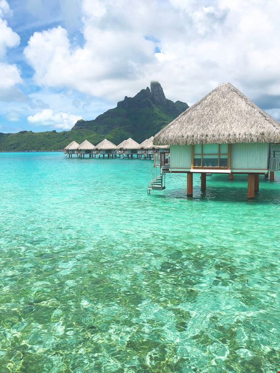 Bora Bora Bora Bora Alex Konti - Shutterstock.com 