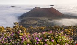 Lanzarote