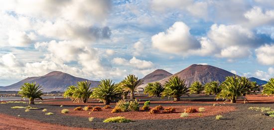 National Park Timanfaya Lanzarote stock.adobe.com 