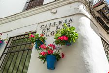 Vicolo dei fiori