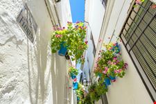 Vicolo dei fiori