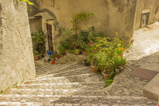 Gerace Gerace vitaprague - Shutterstock.com 