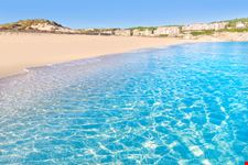 Maiorca