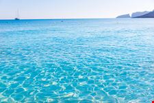 Maiorca