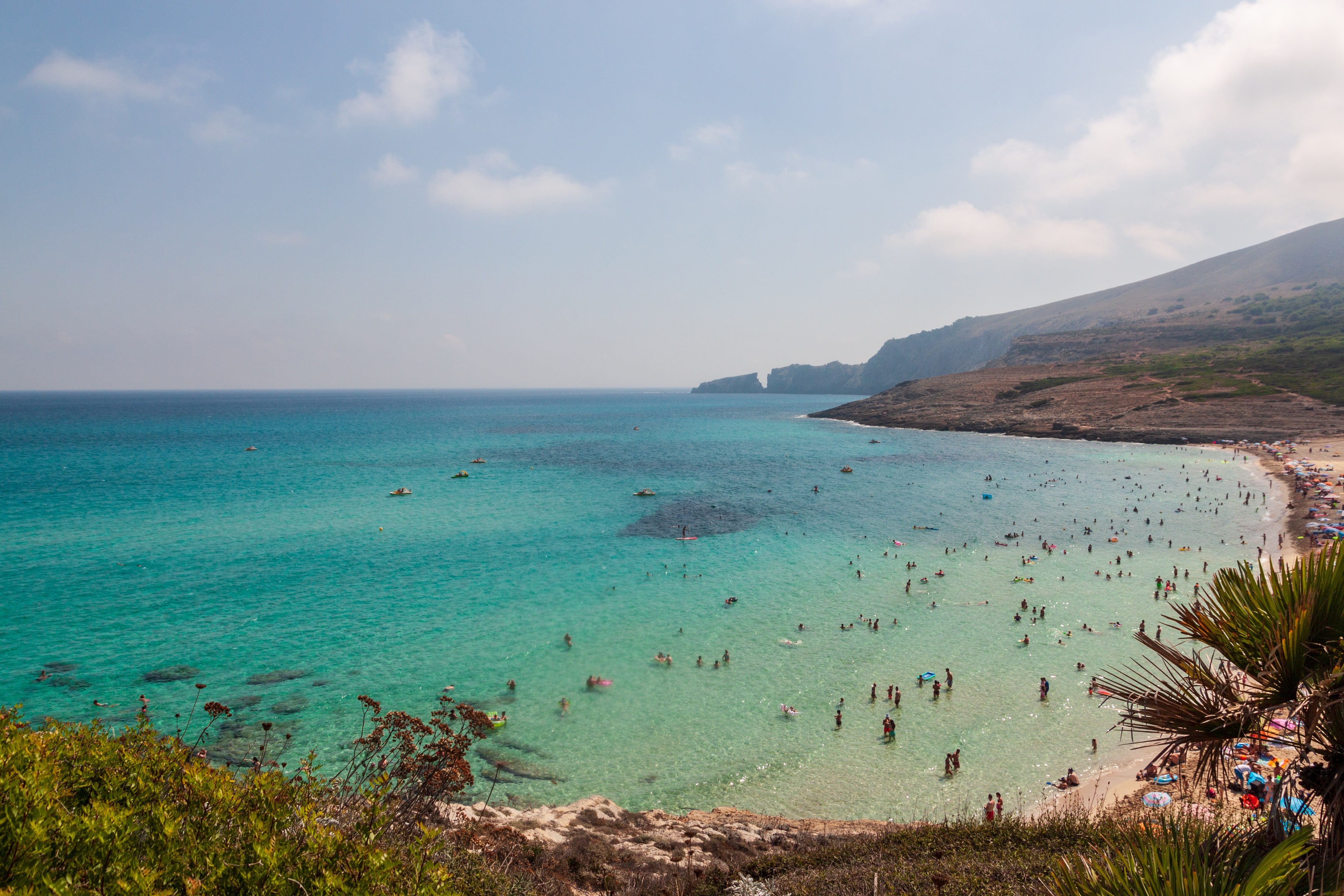 Maiorca