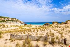 Maiorca