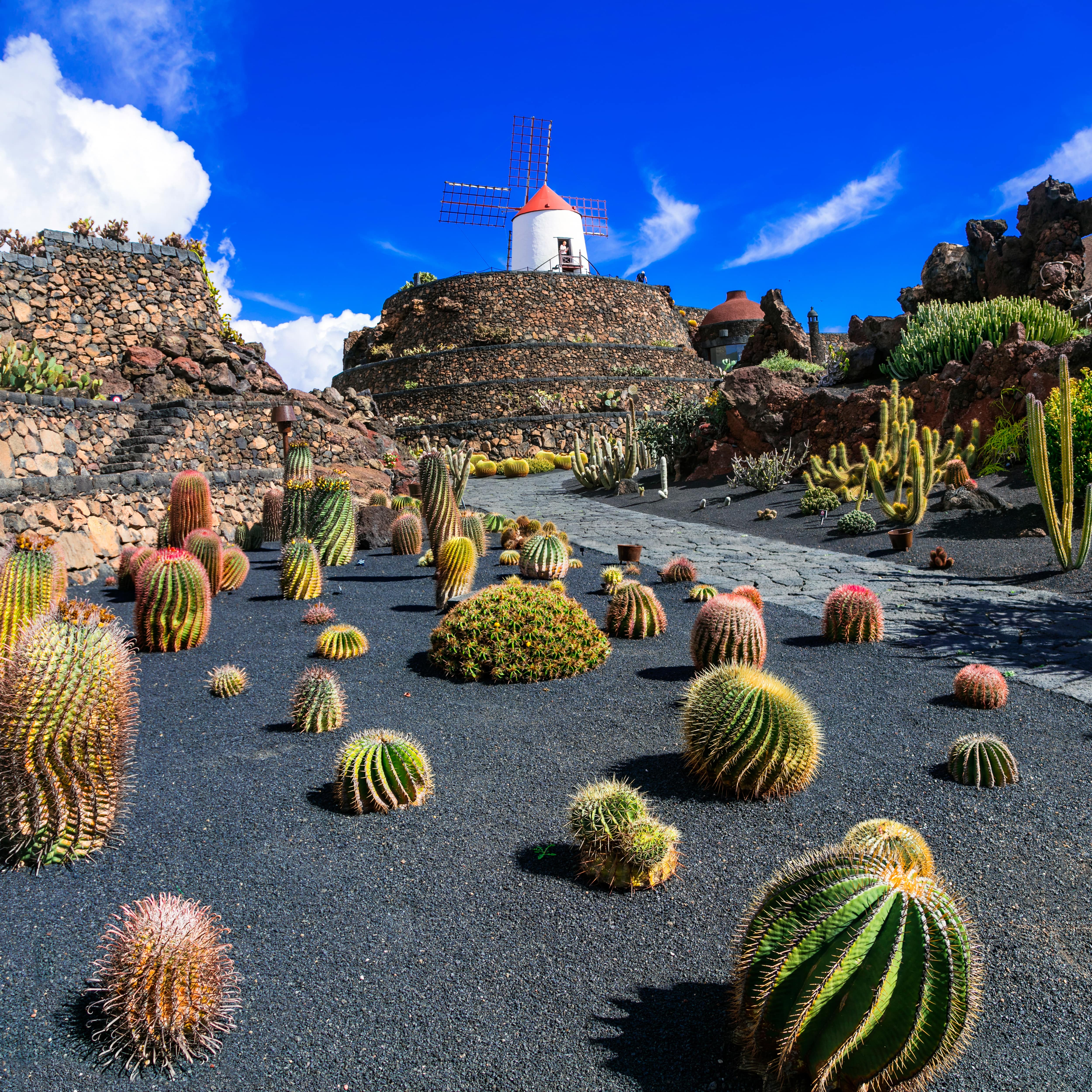 Lanzarote