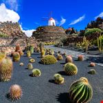 Lanzarote
