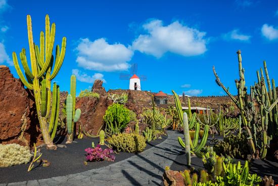 Lanzarote Giardino dei Cactus stock.adobe.com 