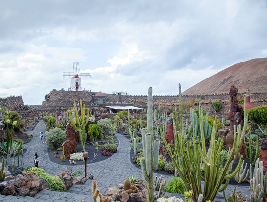 Lanzarote Giardino dei Cactus stock.adobe.com 
