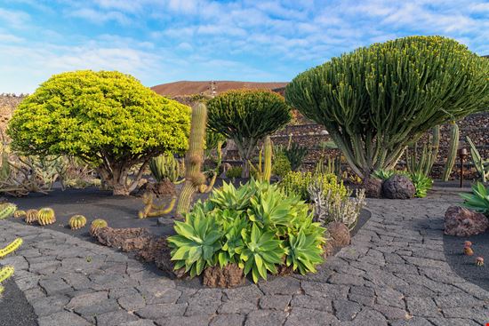 Lanzarote Giardino dei Cactus stock.adobe.com 