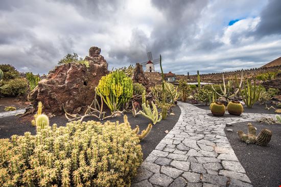 Lanzarote Giardino dei Cactus stock.adobe.com 