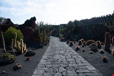 Lanzarote