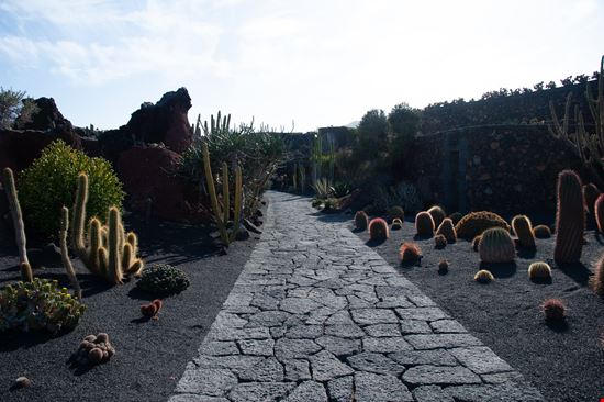 Lanzarote Giardino dei Cactus stock.adobe.com 