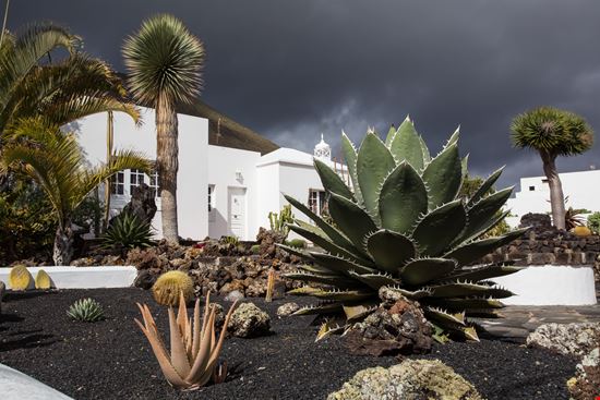 Lanzarote Giardino dei Cactus stock.adobe.com 