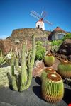 Lanzarote